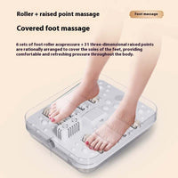Constant Temperature Electric Massage foot bath basin with roller and raised point foot massage features