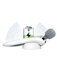 Dolphin Massager Vibrating Back Hammer Handheld Device